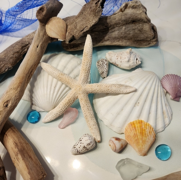 Hawaiian Driftwood, Shells and Seaglass Coastal Beach Craft Items - Picture 2 of 12